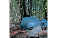 Image Trash bags in a forest.